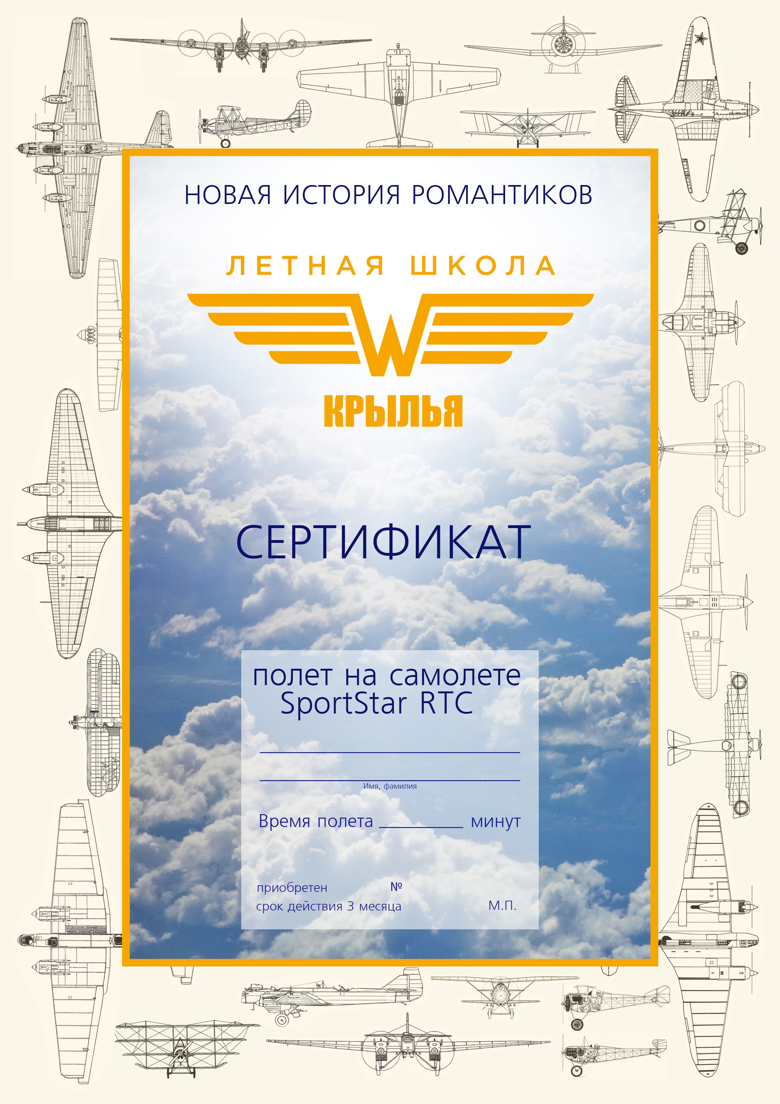 Подарочный сертификат полет на самолете